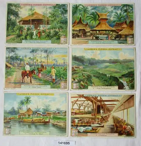Liebigbilder Serie Nr. 547 Tabakkultur auf Sumatra 1902 (7/141695)
