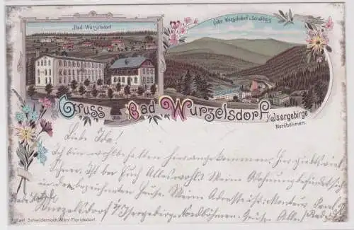 902011 Ak Lithographie Gruß aus Bad Wurzelsdorf im Isergebirge Nordböhmen 1899