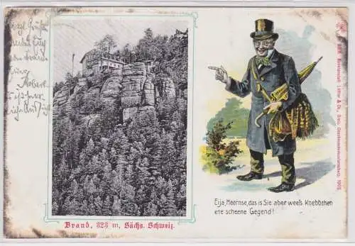 900344 Ak Brand 323 m sächsische Schweiz 1905