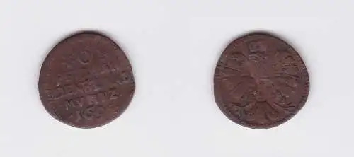 6 Pfennig Kupfer Münze Brandenburg Preussen 1695 (126668)