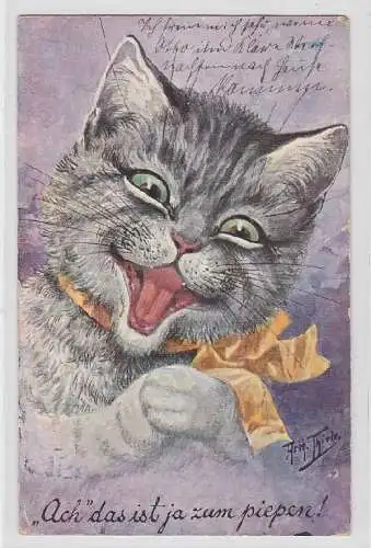 57380 Arthur Thiele Künstler Ak Katze "Ach das ist ja zum piepen!" 1908