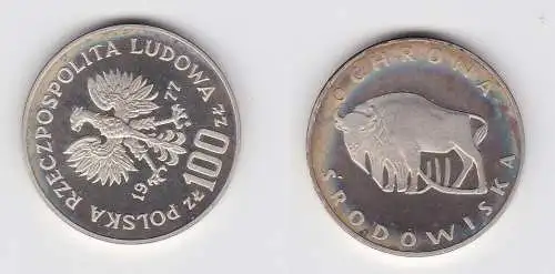 100 Zloty Silber Münze Polen Wisent 1977 PP (130954)