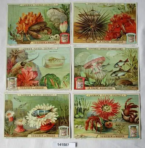 Liebigbilder Serie Nr. 757 Tierleben im Wasser Jahrgang 1909 (7/141587)