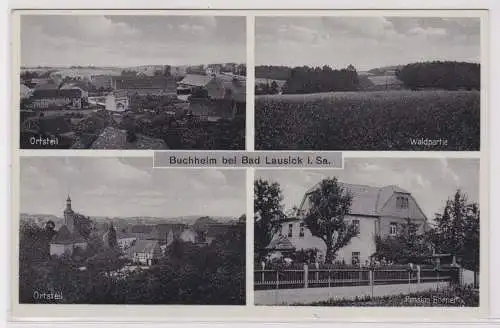 900564 AK Buchheim bei Bad Lausick - Ortsteil, Pension Bruno Börner, Waldpartie