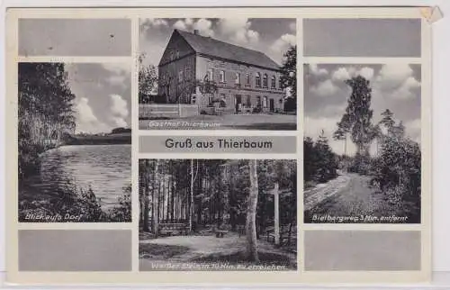 900455 AK Gruß aus Thierbaum - Gasthof, Bielbergweg, Weißer Stein 1938
