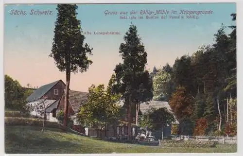 35622 Ak Gruß aus der Röllig Mühle im Krippengrunde 1918