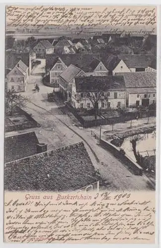 55911 Ak Gruß aus Burkartshain Ortsansicht 1903