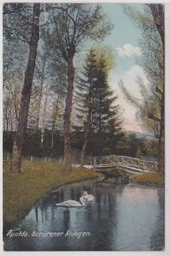 16824 Ak Apolda - Schötener Anlagen, Parkpartie mit Schwänen 1927