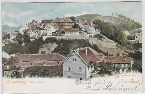 04598 Ak Quedlinburg - Blick auf den Münzenberg 1904