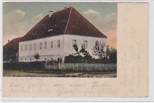 79759 AK Dommitzsch - Gruss von Plant's Haus 1906