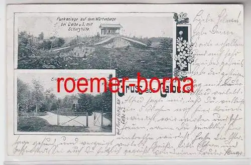 77191 Mehrbild Ak Gruss aus Calbe a.S. Parkanlage auf dem Wartenberge 1903