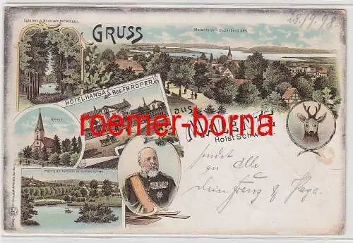 76739 Ak Lithografie Gruss aus Malente Holst. Schweiz Hotel Hansa usw. 1898