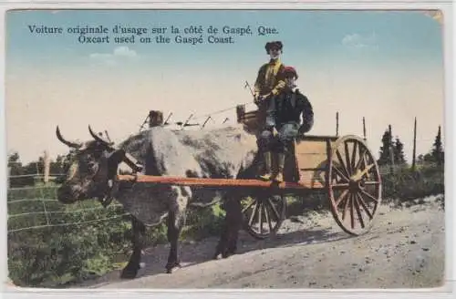 35386 Ak Oxcart used on the Gaspe Coast Kanada um 1910