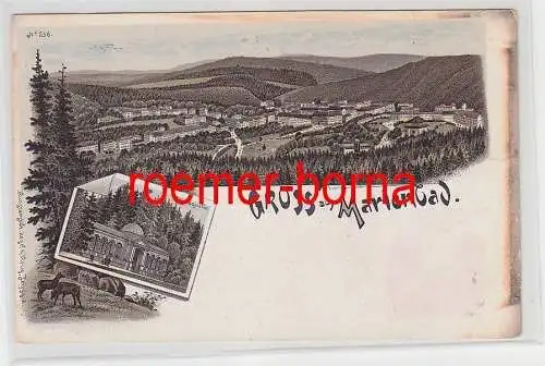 68333 Ak Lithografie Gruss aus Marienbad Totale und Waldquelle um 1900