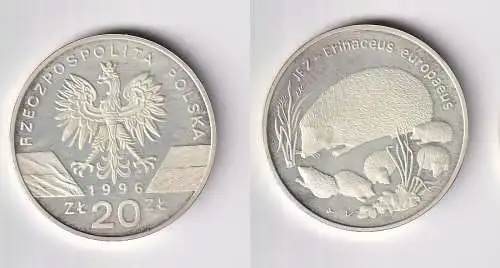 20 Zloty Silber Münze Polen Bedrohte Tierarten - Igel 1996 PP (166448)