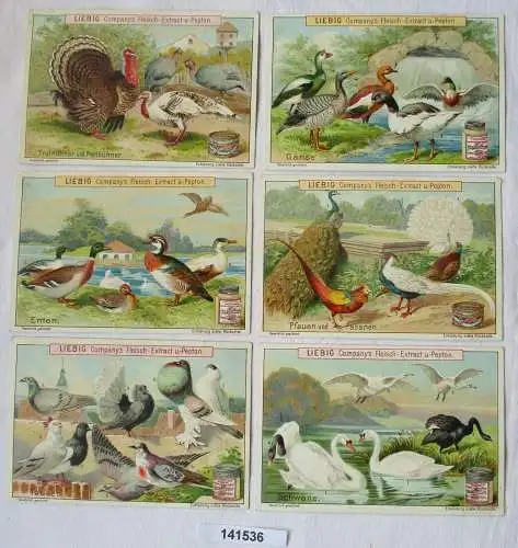 Liebigbilder Serie Nr. 427 Geflügelarten Jahrgang 1899 (7/141536)