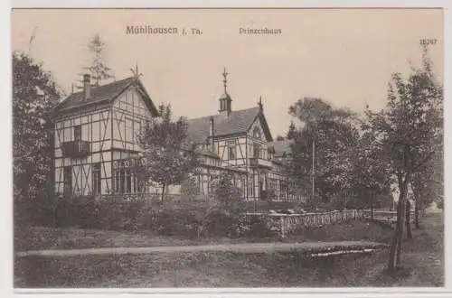 99758 AK Mühlhausen in Thüringen - Prinzenhaus mit Gartenpartie 1907