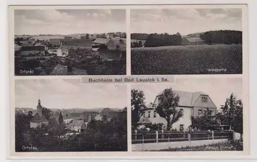 99671 AK Buchheim b. Bad Lausick - Pension Börner, Ortsteilansichten, Waldpartie