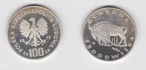 100 Zloty Silber Münze Polen Wisent Probe 1977 PP (130959)
