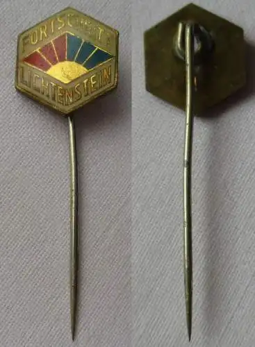 DDR Sport Anstecknadel Mitgliedsabzeichen BSG Fortschritt Lichtenstein (137307)