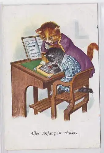 77607 Humor Ak Katzenschule "Aller Anfang ist schwer" 1930
