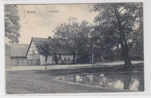 42208 Ak Senzig, Dorfaue, Dreiseitenhof mit Teich, Gebäudeansicht, 1908
