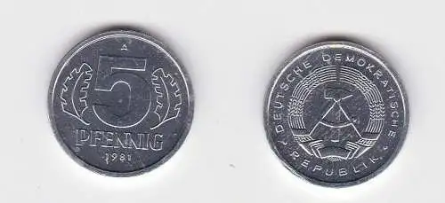 5 Pfennig Aluminium Münze DDR 1981 Stempelglanz (130985)