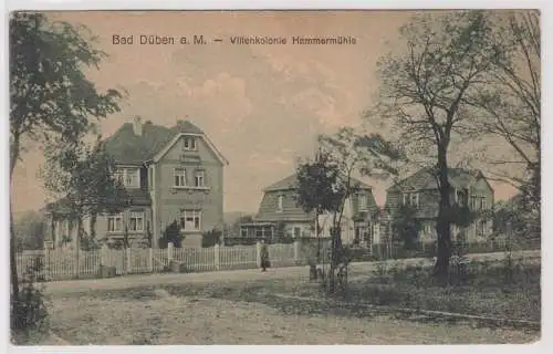 901989 Ak Bad Düben a.M. Villenkolonie Hammermühle um 1930