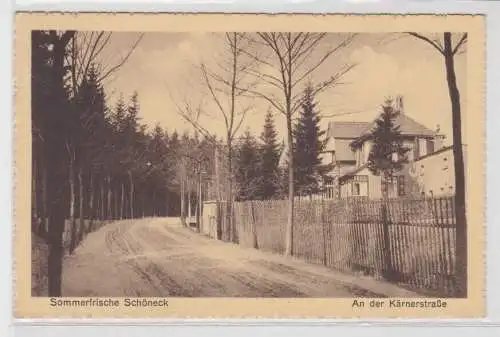 59716 Ak Sommerfrische Schöneck an der Kärnerstraße 1930