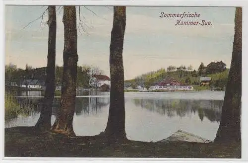 64385 Ak Sommerfrische Hammer-See Totalansicht um 1910