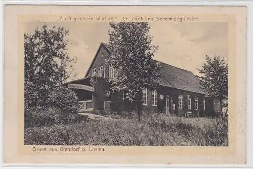 94289 Ak Gruß aus Stendorf b. Lesum, "Zum grünen Walde" Bes: Sommergarten, 1908