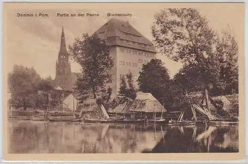 94971 Ak Demmin i. Pom., Partie an der Peene, Blumenburg, um 1920