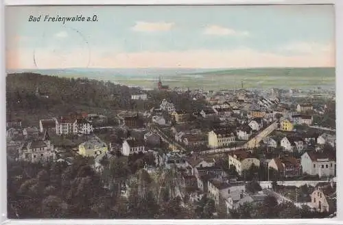 05576 AK Bad Freienwalde an der Oder - Stadtpanorama 1906