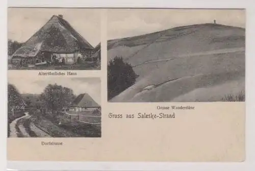 21900 Mehrbild Ak Gruß aus Saleske-Strand in Pommern große Wanderdüne usw. 1908