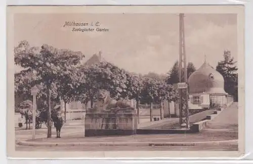 95865 Ak Mühlhausen i. E. - Zoologischer Garten 1915