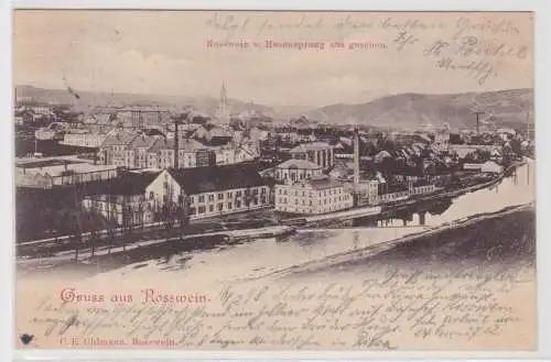 65776 Ak Gruß aus Rosswein vom Hasensprung aus gesehen 1898