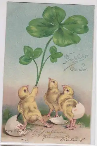 82115 Glückwunsch AK Fröhliche Ostern - 3 Küken m. vierblättrigem Kleeblatt 1903