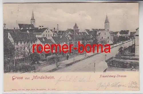 76386 Ak Gruss aus Mindelheim Freundsberg-Strasse um 1900