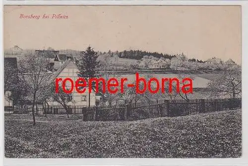 42836 Ak Borsberg bei Pillnitz Totalansicht um 1910