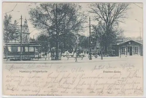 72142 Ak Hamburg-Winterhude - Platz bei der Friedens-Eiche 1902