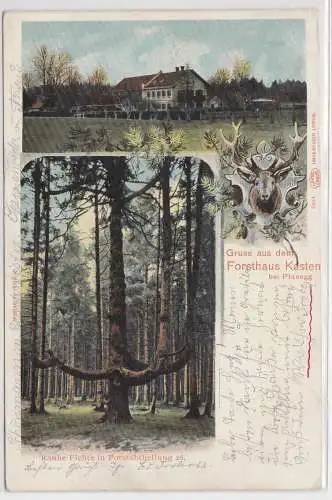 55278 Mehrbild Ak Gruß aus dem Forsthaus Kasten bei Planegg 1903