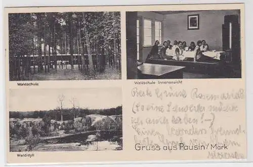 88552 Ak Gruß aus Pausin/ Mark, Waldschule (Innenansicht), Waldidyll, 1932