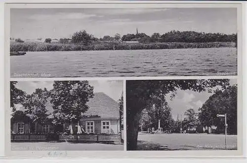 65302 Ak Teschendorf (Mark), Seepartie, Gasthof, Kriegerdenkmal, um 1930