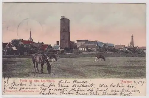 41168 AK Borkum - Partie am alten Leuchtturm mit Kühen und Pferden 1907
