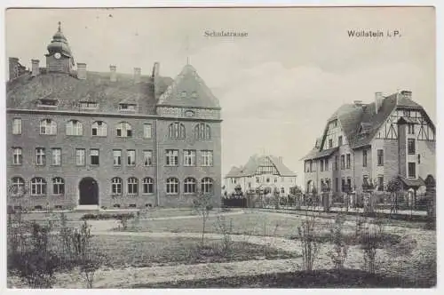 79965 Ak Wollstein Wolsztyn in Posen Schulstraße 1910