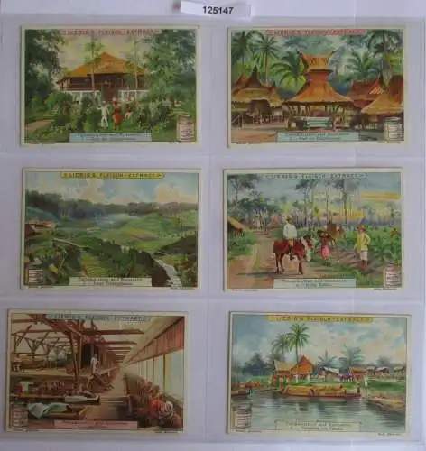 B125147 Liebigbilder Serie Nr. 547 Tabakkultur auf Sumatra 1902