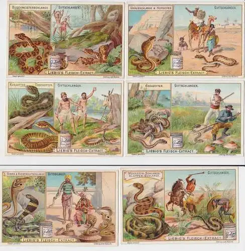 Liebigbilder Serie Nr. 561 Giftschlangen Jahrgang 1903 (6/141810)
