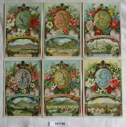 Liebigbilder Serie Nr. 309 Städtenamen Jahrgang 1895 (6/141790)