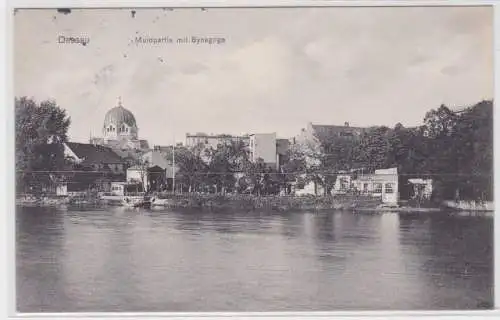 906942 Ak Dessau Muldepartie mit Synagoge 1909