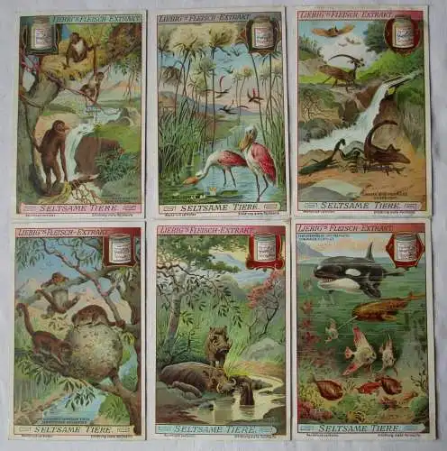 Liebigbilder Serie 887 Seltsame Tiere, komplett 1913 (7/159846)